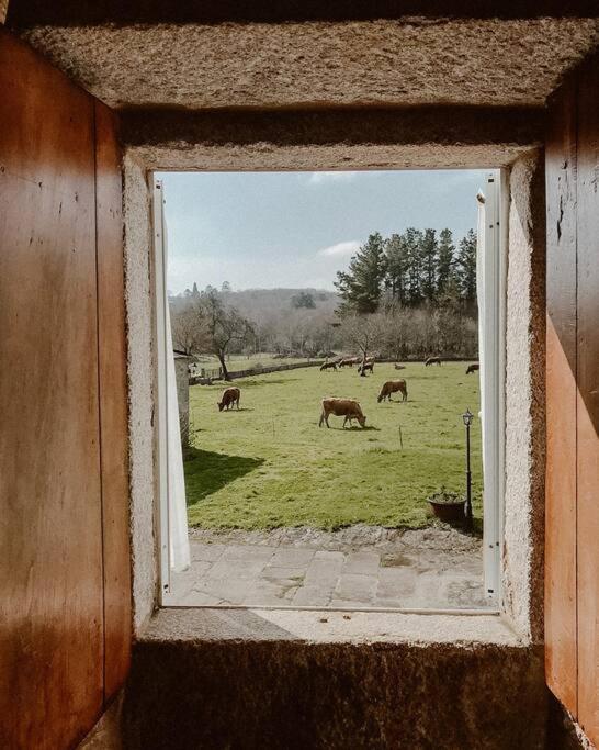 Casa Do Cuco - Rural House Hotel Friol Екстериор снимка